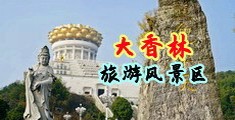 高清无码艹小骚屄中国浙江-绍兴大香林旅游风景区